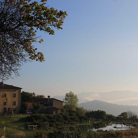 Fattoria San Paolo Agriturismo Montecastelli Pisano Ngoại thất bức ảnh