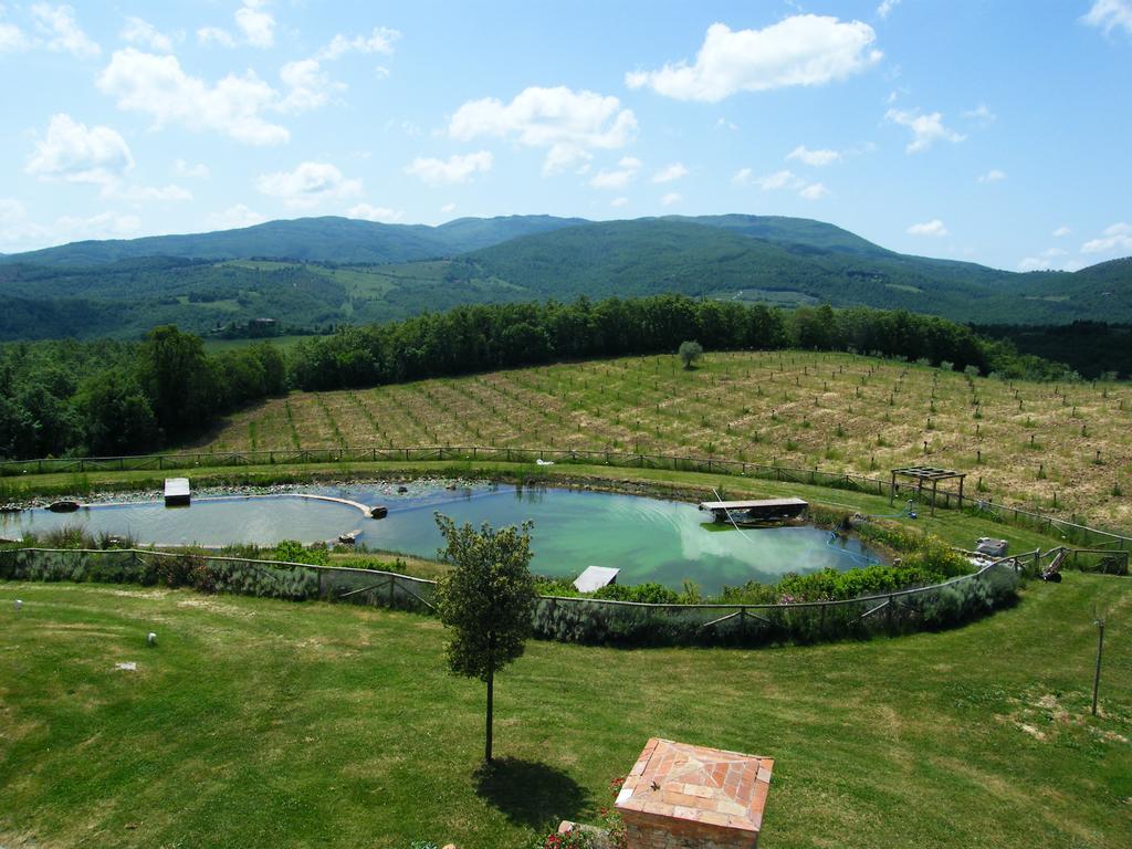 Fattoria San Paolo Agriturismo Montecastelli Pisano Ngoại thất bức ảnh